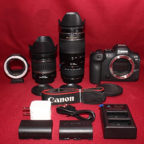 Canon eos mark - r6,