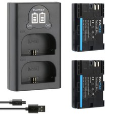 2x batteria + caricatore LCD